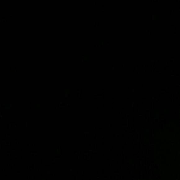 Meet your Posher, Paige - Picture 1 of 1